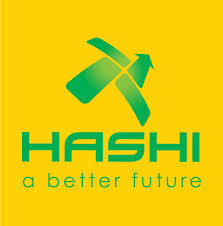 Hashi Energy